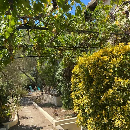 Evasion En Provence Bas De Avec Jardin & Vignes, Soleil & Fraicheur Appartement